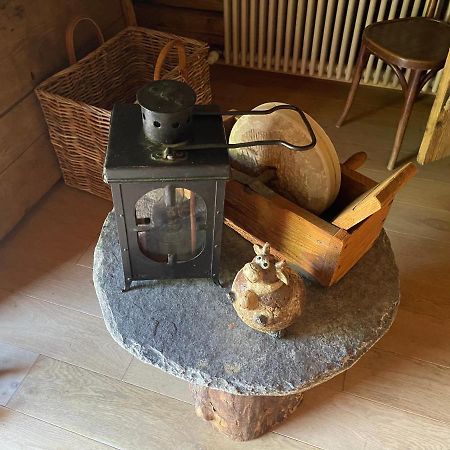 Chalet Alpage Proche Geneve Mégevette 외부 사진