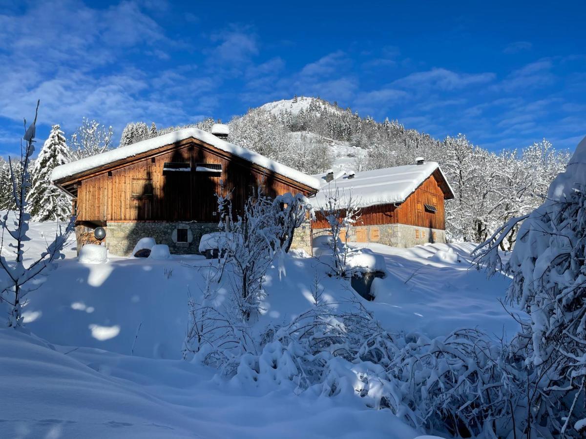Chalet Alpage Proche Geneve Mégevette 외부 사진