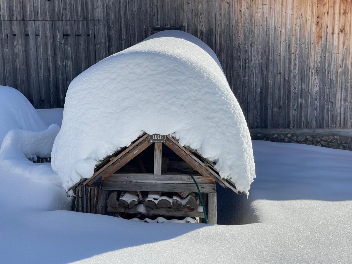 Chalet Alpage Proche Geneve Mégevette 외부 사진