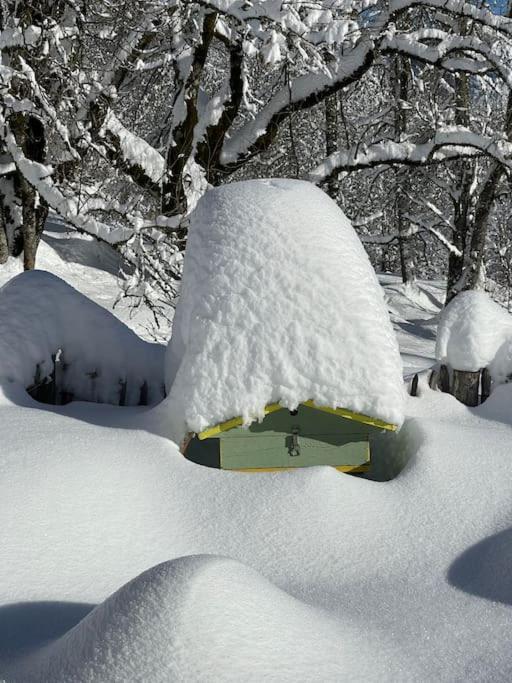Chalet Alpage Proche Geneve Mégevette 외부 사진