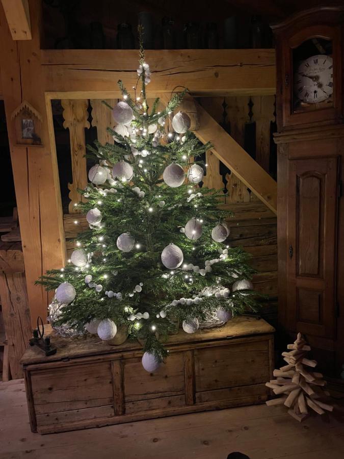 Chalet Alpage Proche Geneve Mégevette 외부 사진