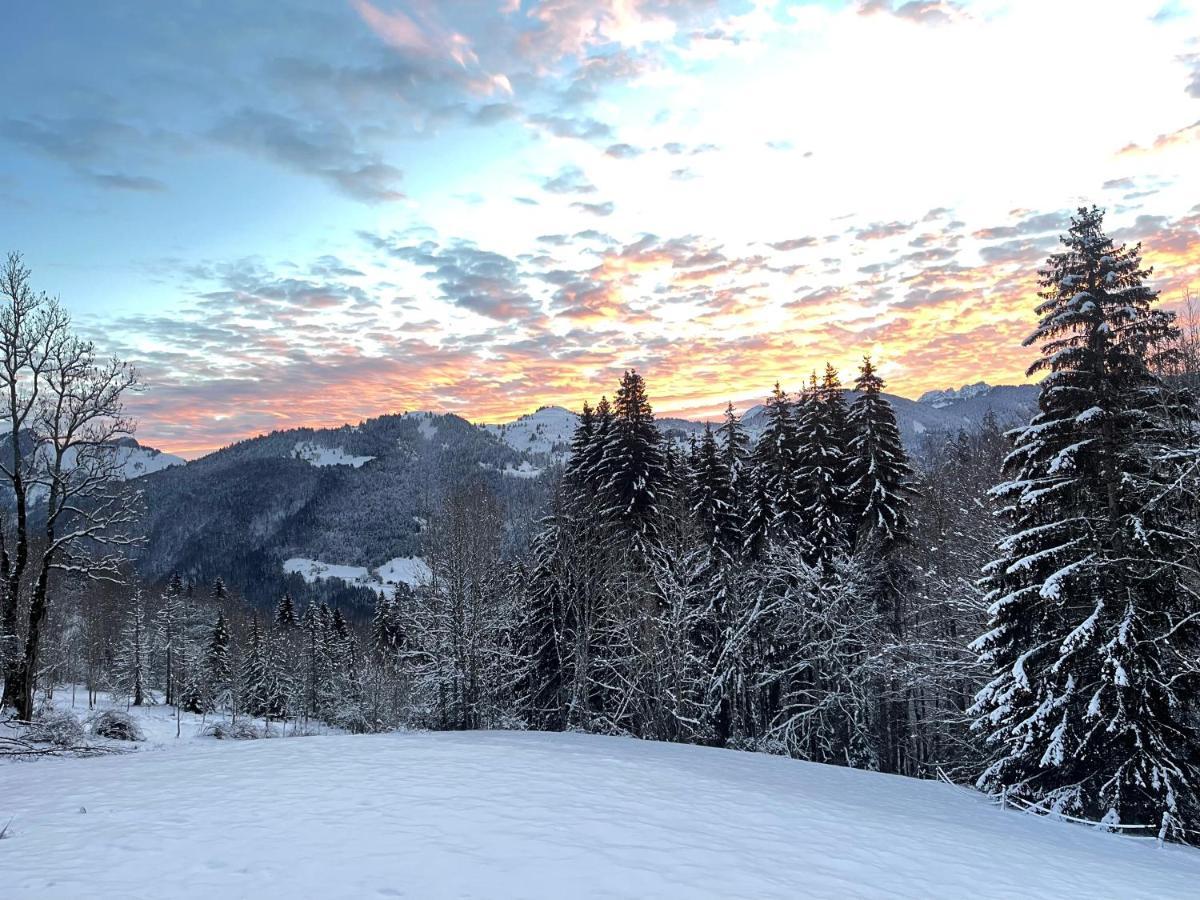 Chalet Alpage Proche Geneve Mégevette 외부 사진