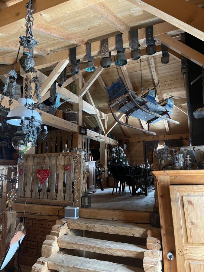Chalet Alpage Proche Geneve Mégevette 외부 사진