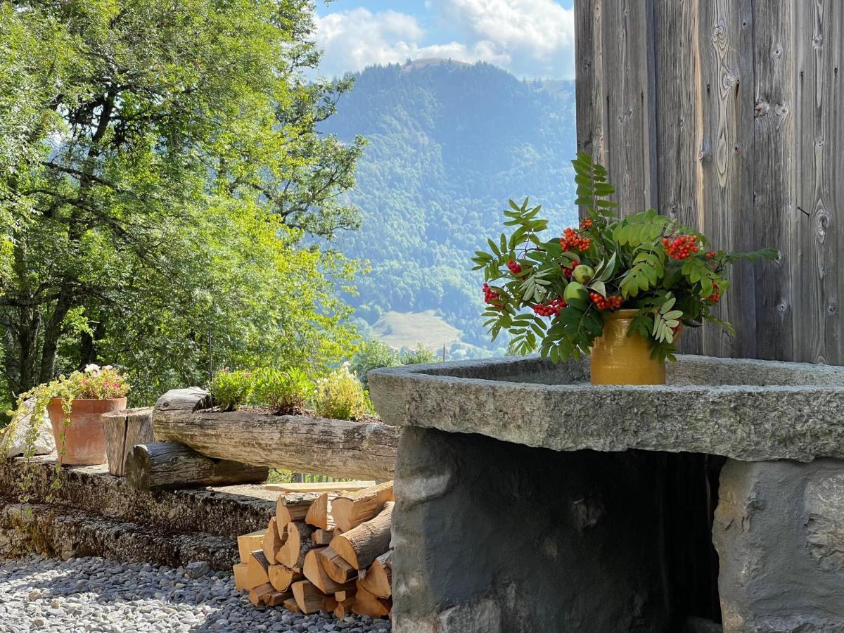 Chalet Alpage Proche Geneve Mégevette 외부 사진