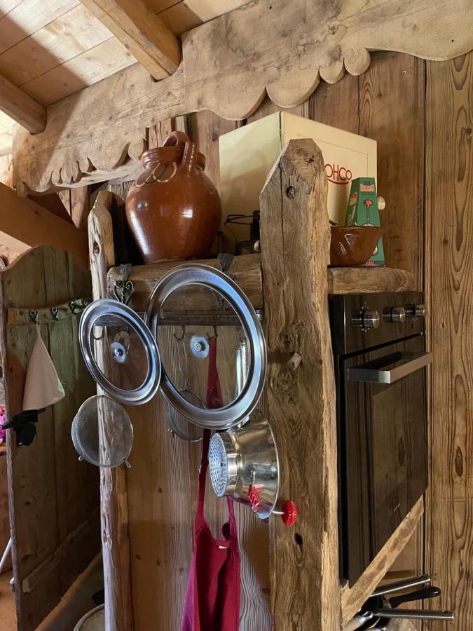 Chalet Alpage Proche Geneve Mégevette 외부 사진