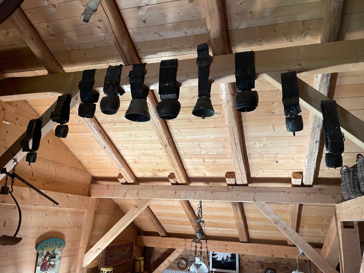 Chalet Alpage Proche Geneve Mégevette 외부 사진