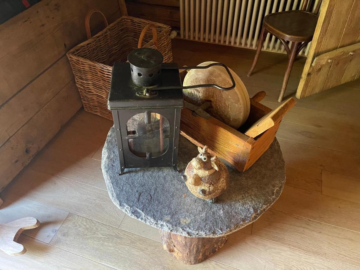 Chalet Alpage Proche Geneve Mégevette 외부 사진