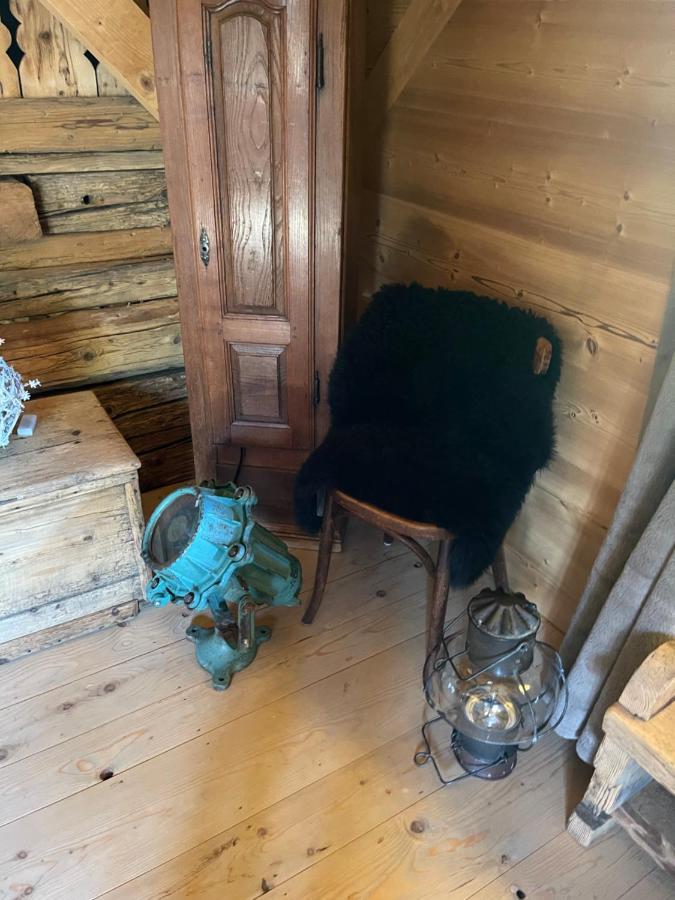 Chalet Alpage Proche Geneve Mégevette 외부 사진