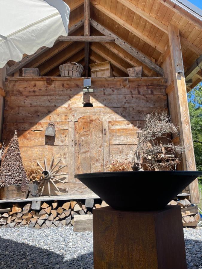 Chalet Alpage Proche Geneve Mégevette 외부 사진