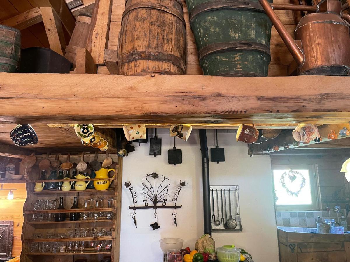 Chalet Alpage Proche Geneve Mégevette 외부 사진